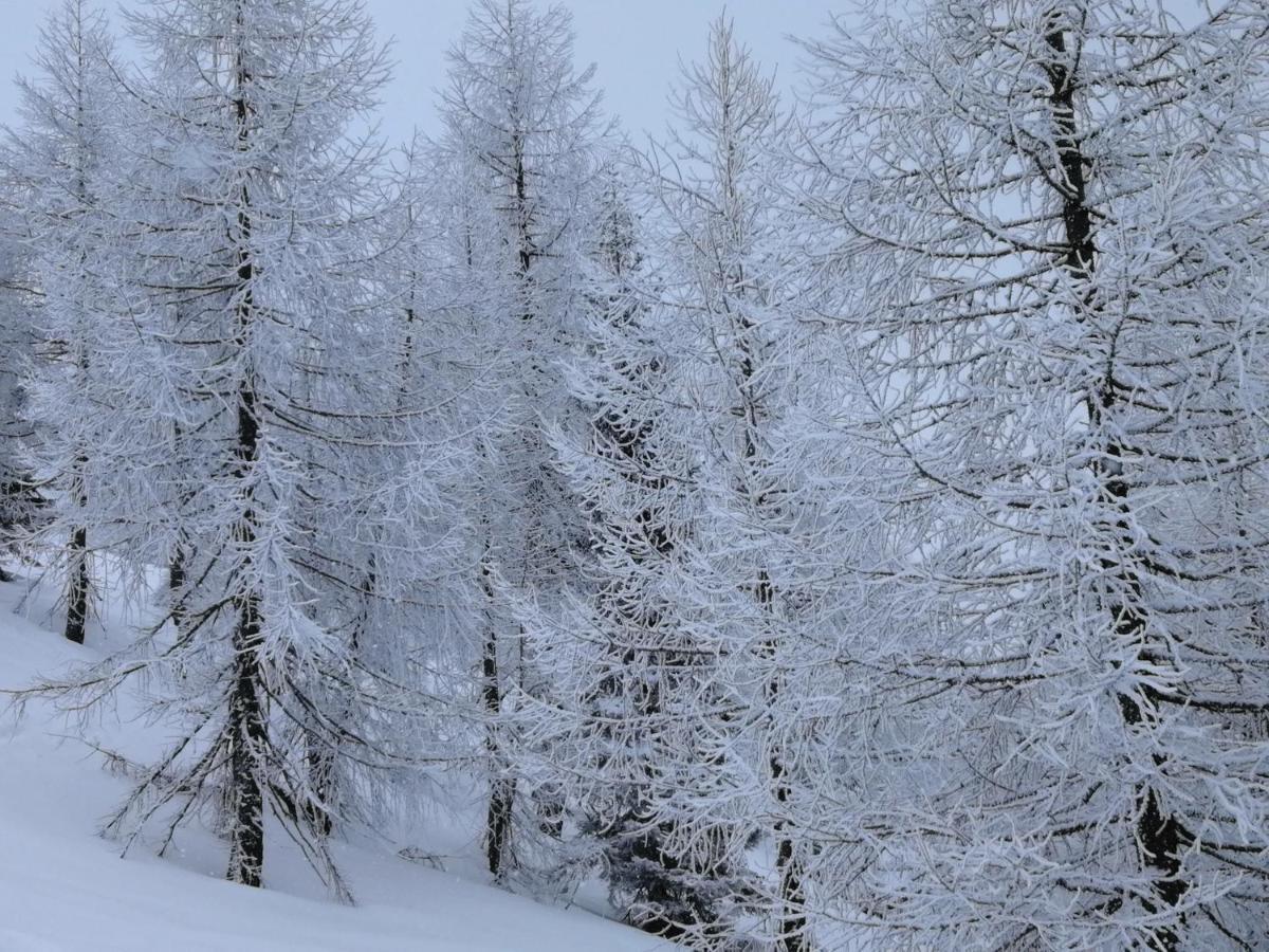 Hotel Dolomiti Levico Terme Bagian luar foto
